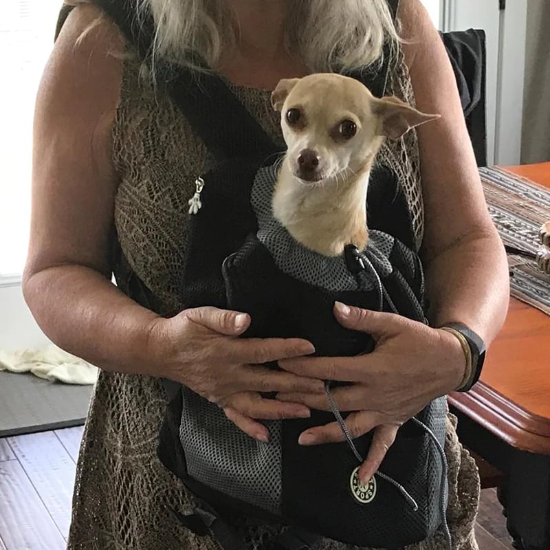 Dog Backpack