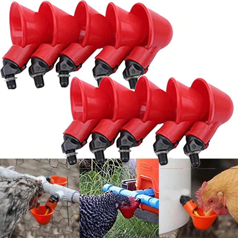 š„š„Last Day 50% OFF--š„Automatic Chicken Water Cup Bird Coop