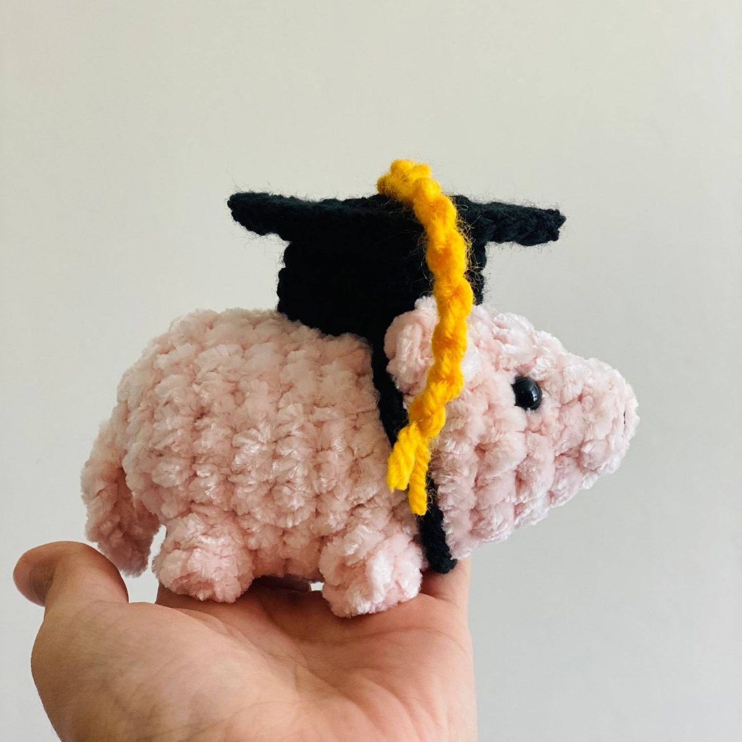 Graduation Duck
