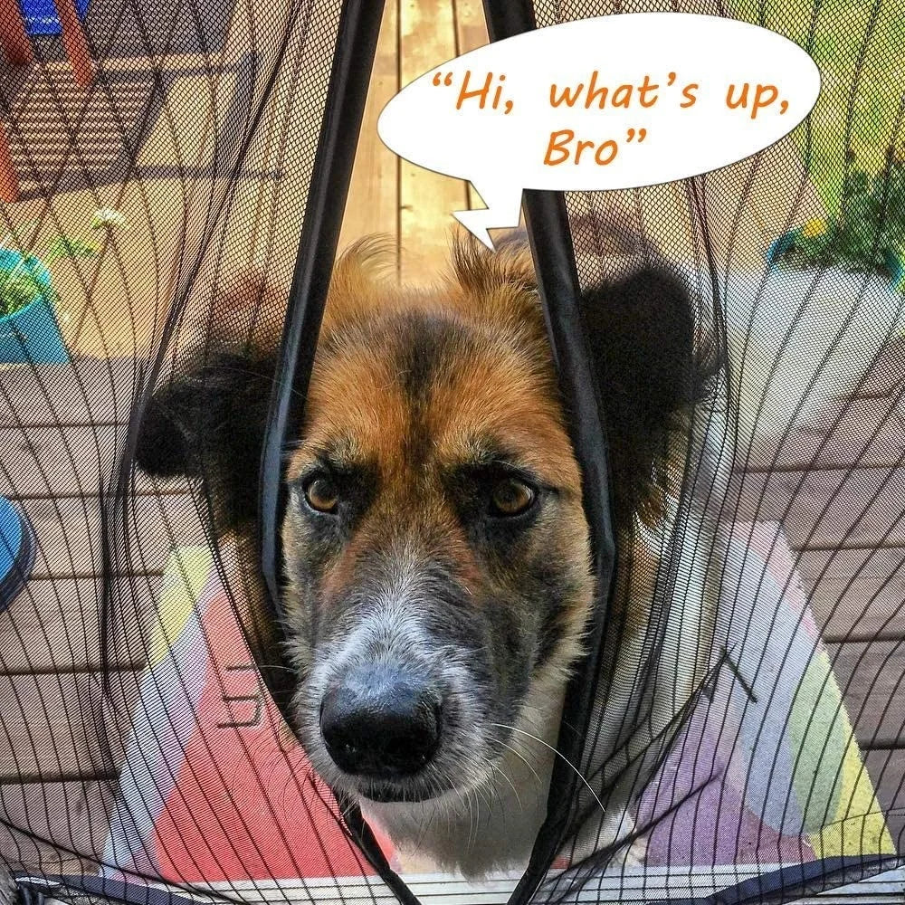 🎉 Last Day Promotion 50% OFF🔥Magnetic Screen Door👾Prevent mosquito-borne viruses