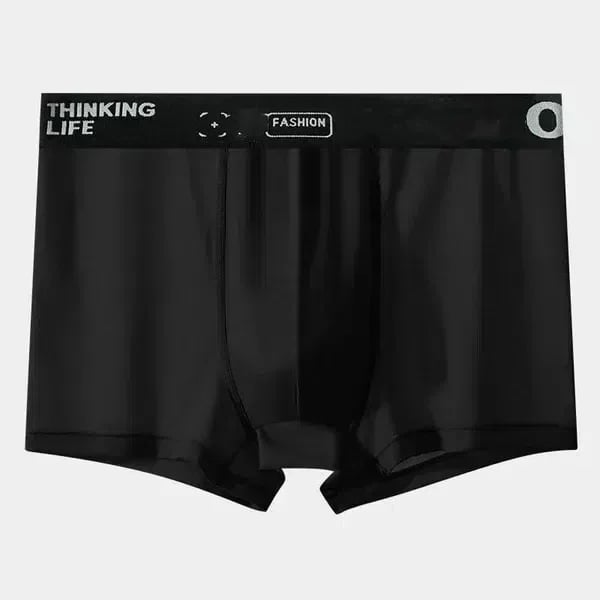 š„Set of 4pcsš„Men's Underwear