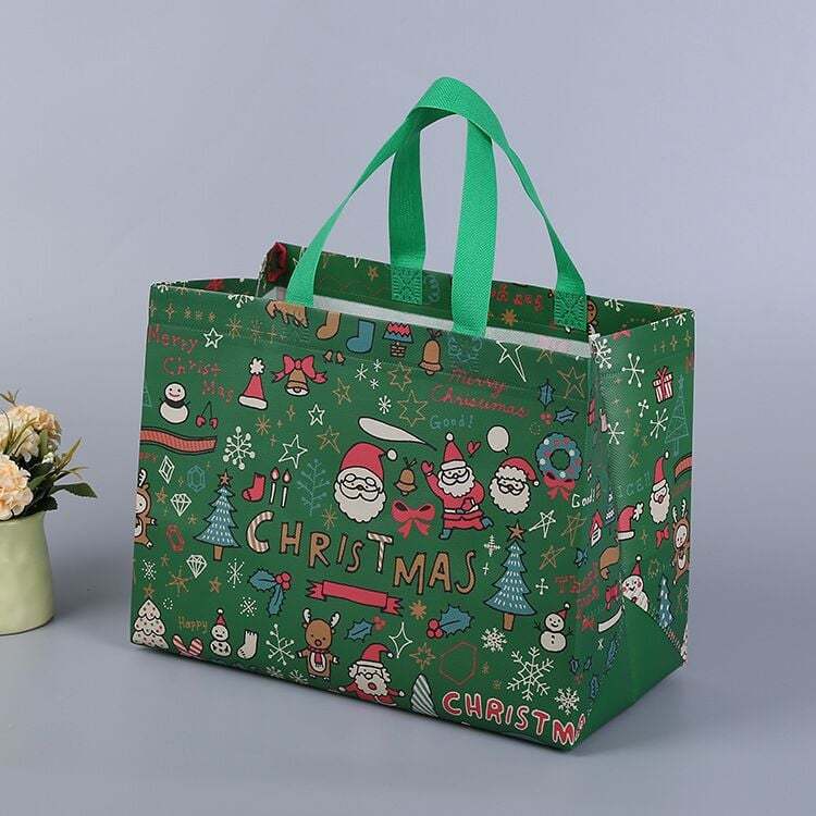 2025 Christmas Gift Bags