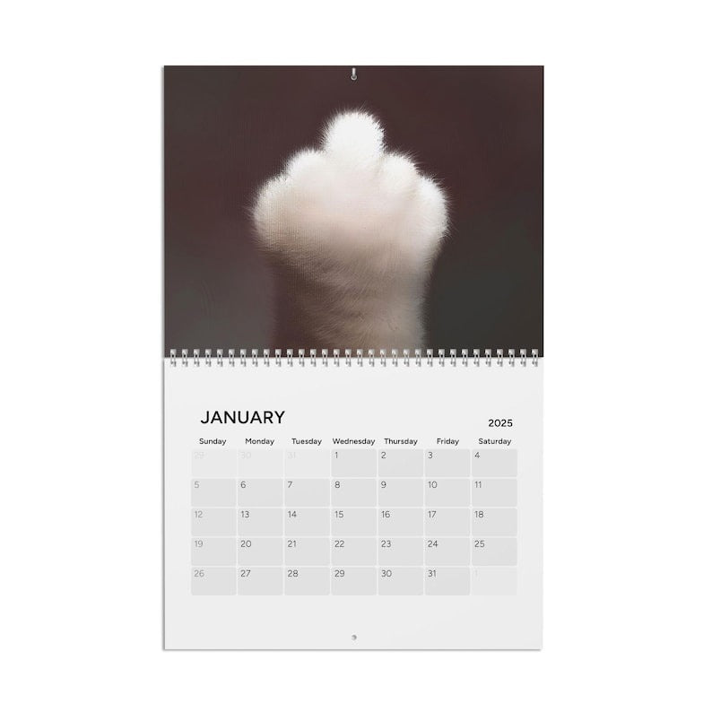🐾Cat Lover Calendar