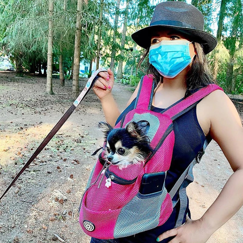 Dog Backpack