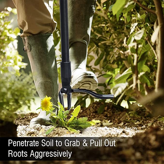 💥Last Day Promotion 50% OFF🔥- New Detachable Weed Puller