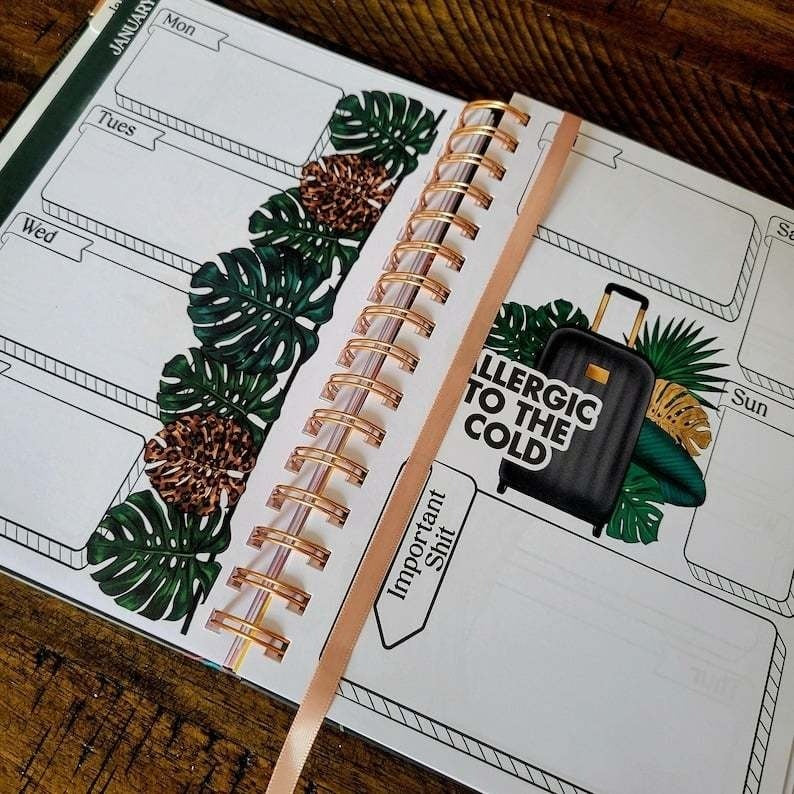 šOrganized Fucking Chaos | Funny PlanneršBUY 2 FREE SHIPPING