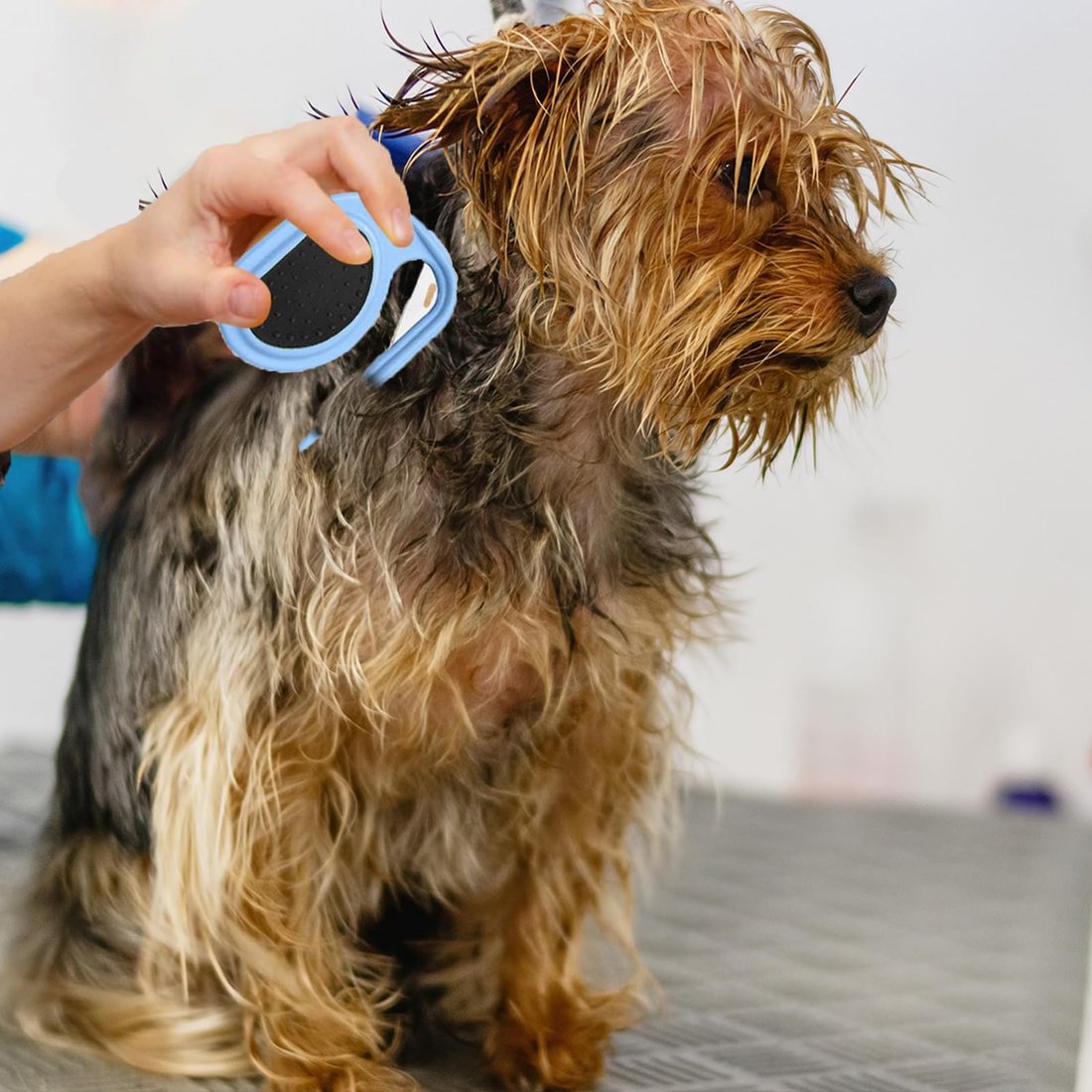 Knotting Comb for Pet