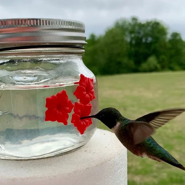 ๐Hot Sale ๐ Beautiful Mason Jar Hummingbird Feeder W/ Three Ports
