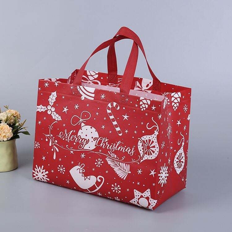 2025 Christmas Gift Bags