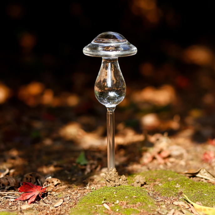 🎁2024 New Year Hot Sale🎁Self-Watering Plant Glass Bulbs