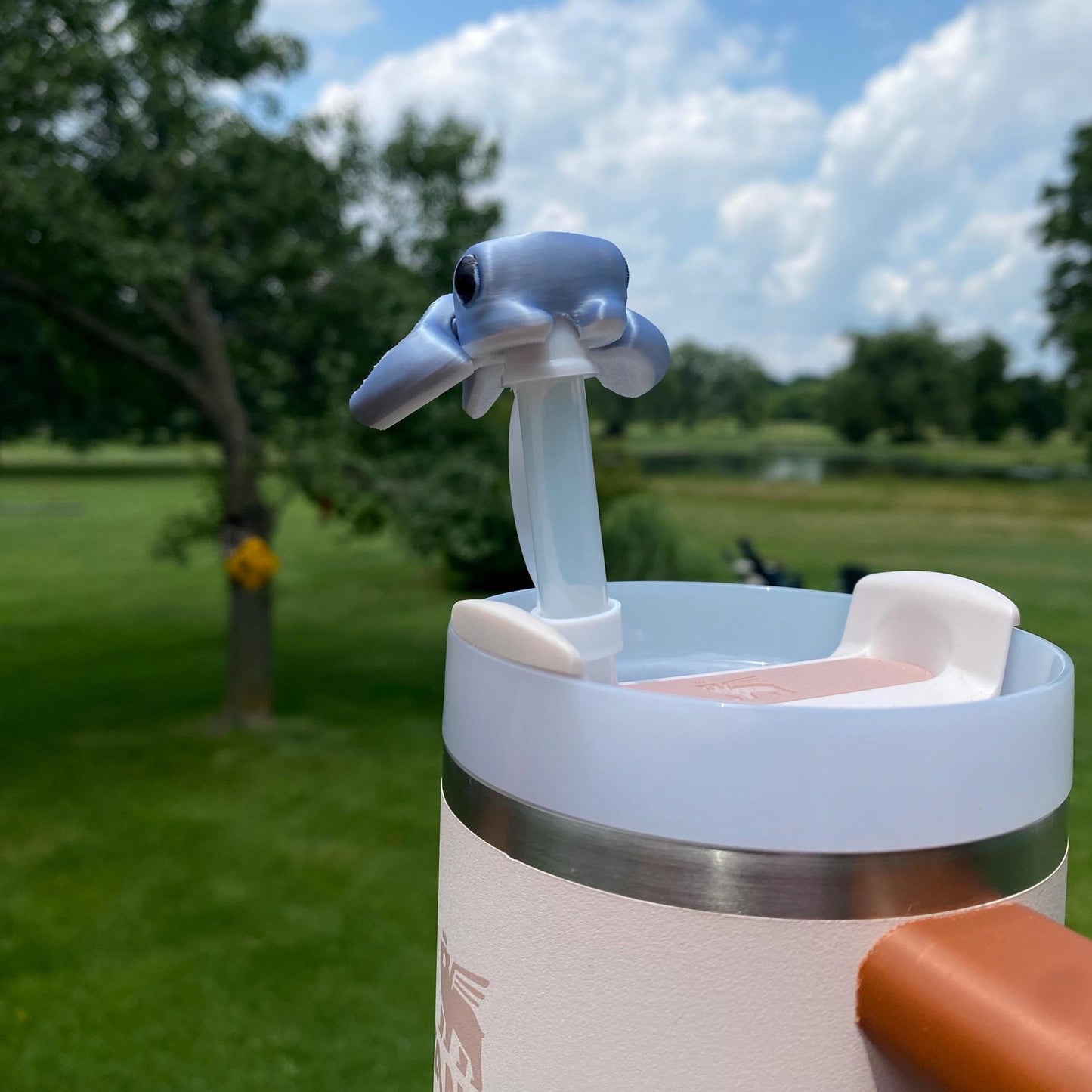 Funny Straw Cap Toppers
