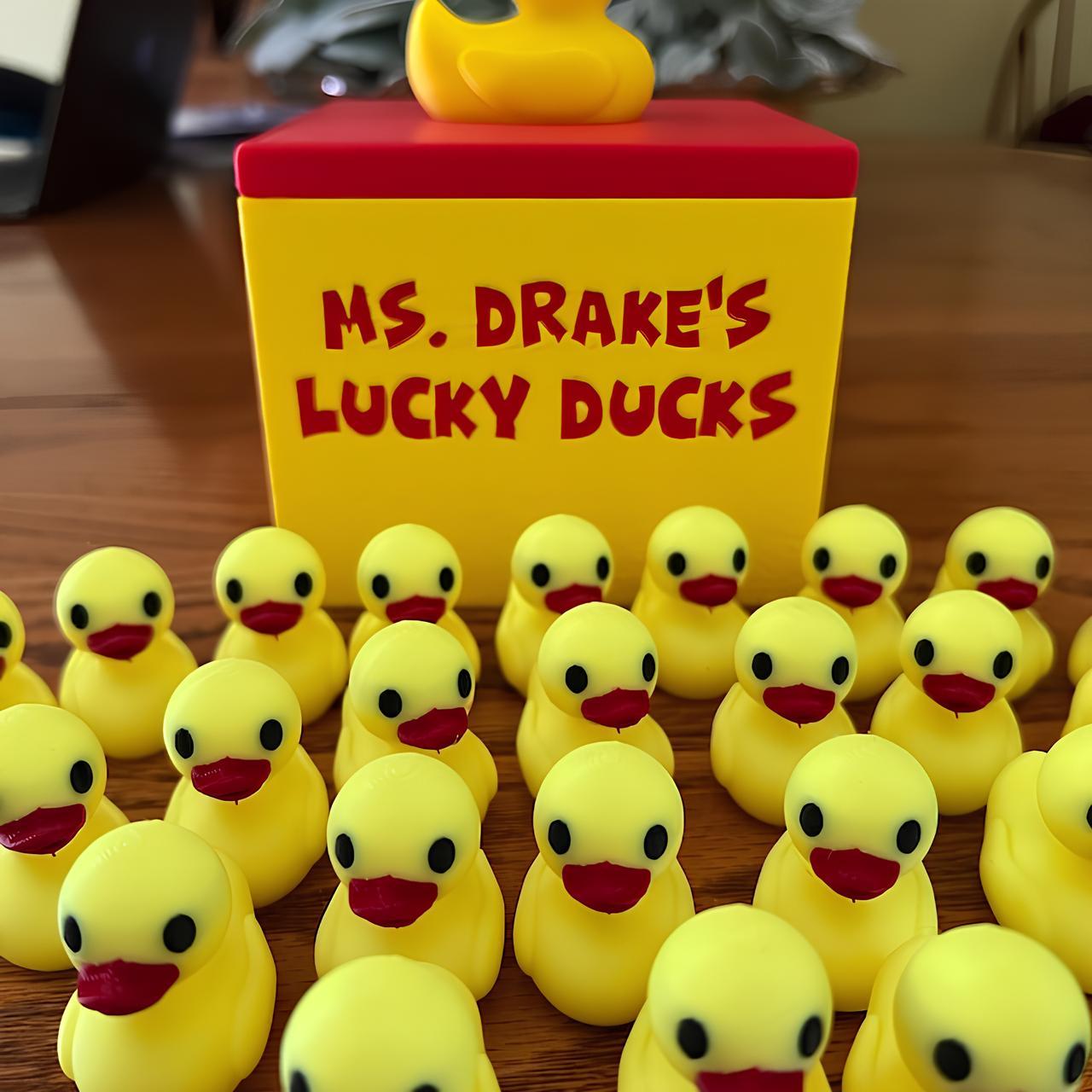 👨🎓Classroom Management Lucky Ducks🦆