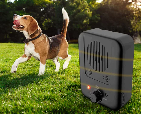 đ„Anti-Bark Device That Trains Your Dog