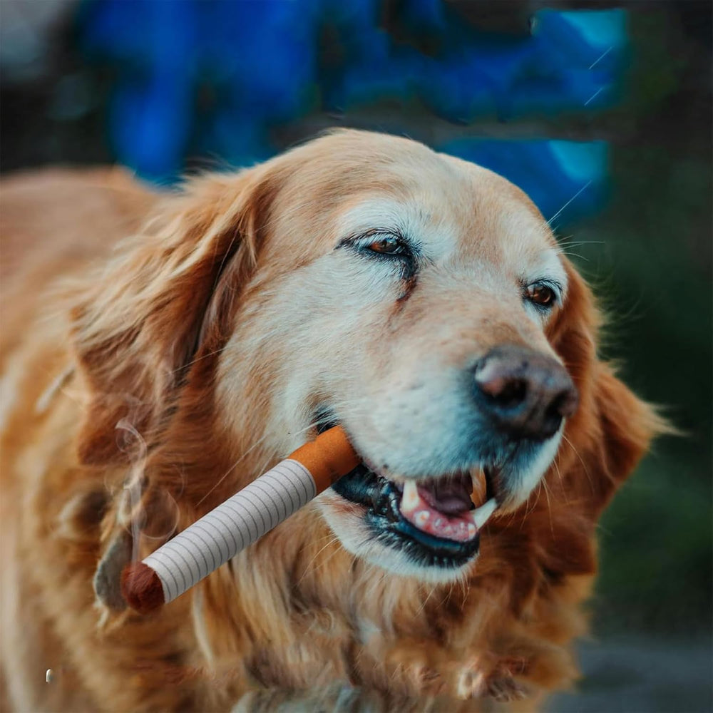 Eptchn Cuddle Ciggy