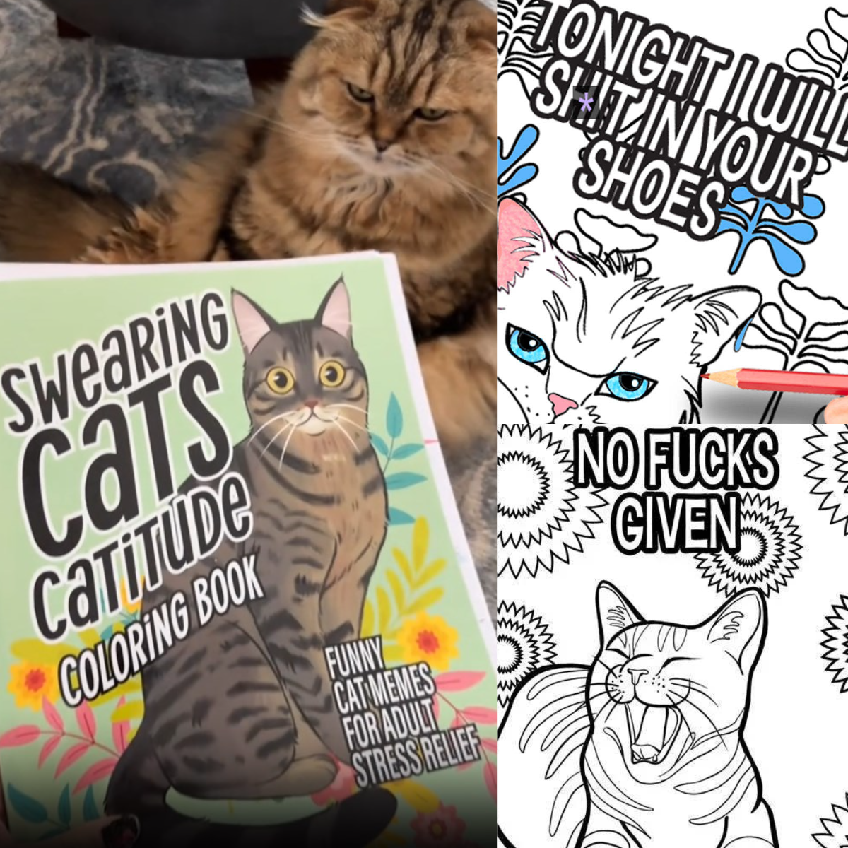 🐱Funny Kitty Memes Coloring Book For Adult Relaxation