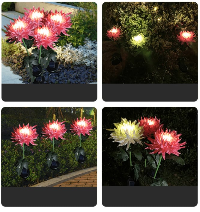 29.5" Chrysanthemum Solar Garden Stake LED