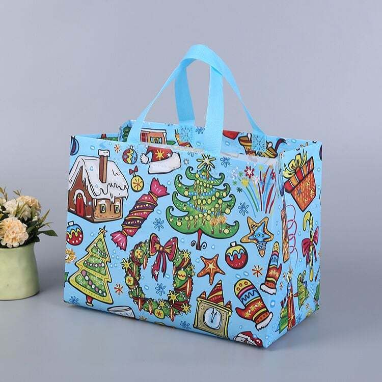 2025 Christmas Gift Bags