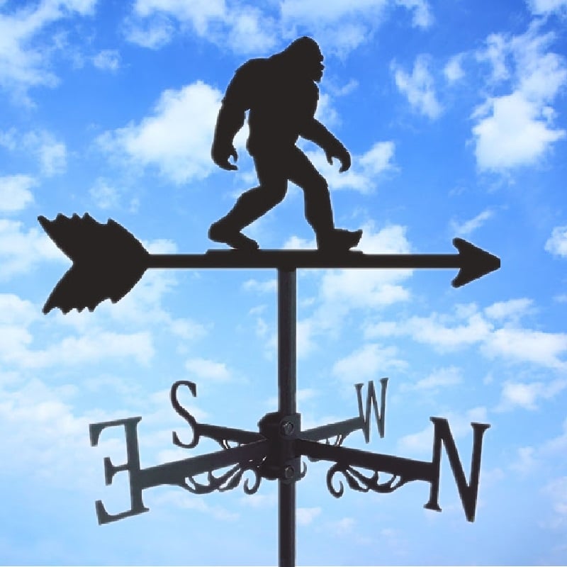 🏠Stainless Steel Weathervane