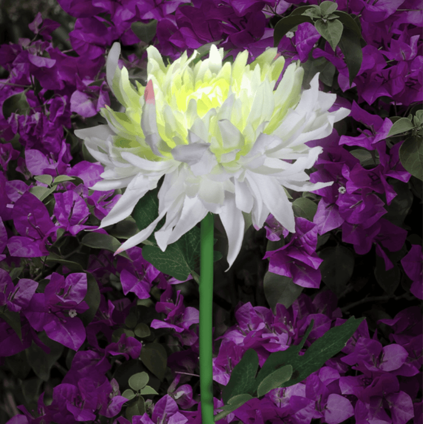 29.5" Chrysanthemum Solar Garden Stake LED