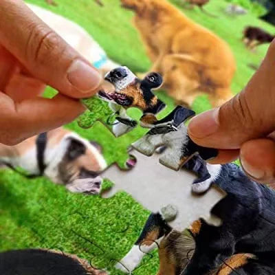🐶🐾Pooping Dog Jigsaw Puzzle 1000 Piece
