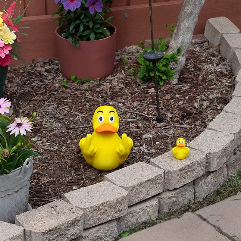 💥Last Day Promotion 50% OFF🔥- 🤣Funny Middle Finger Ducks🦆🖕