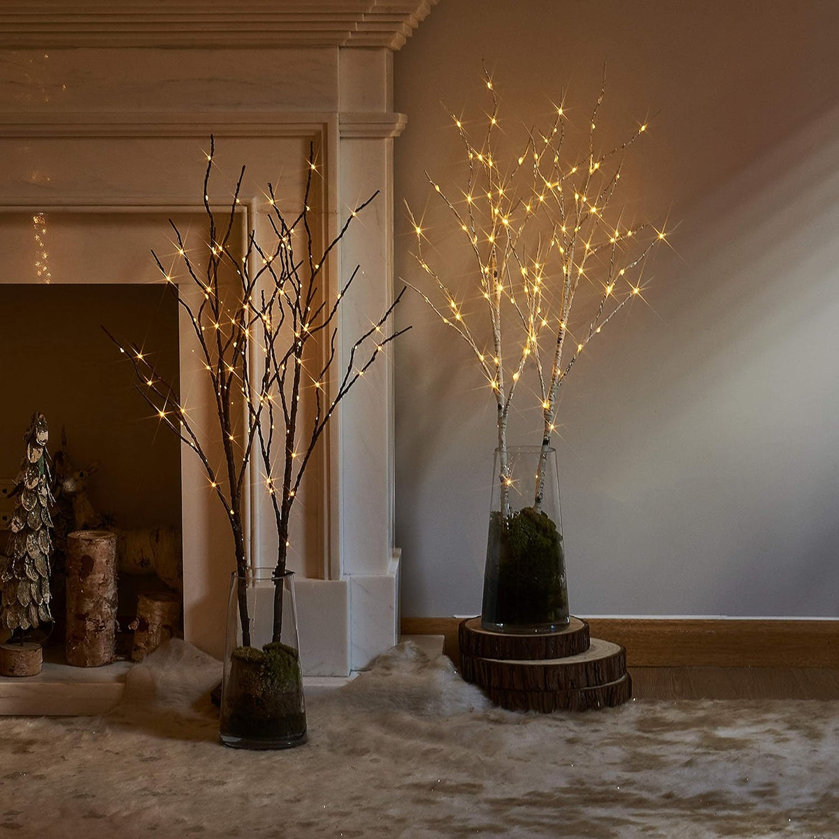 Lighted Brown Branches