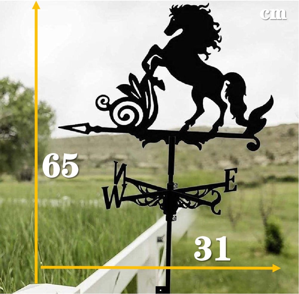 🏠Stainless Steel Weathervane