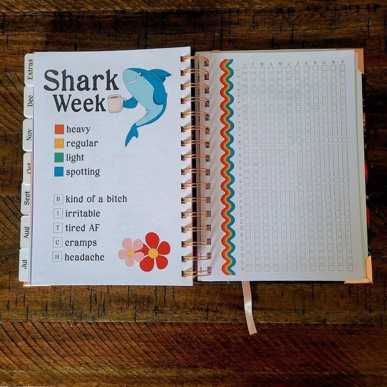 šOrganized Fucking Chaos | Funny PlanneršBUY 2 FREE SHIPPING