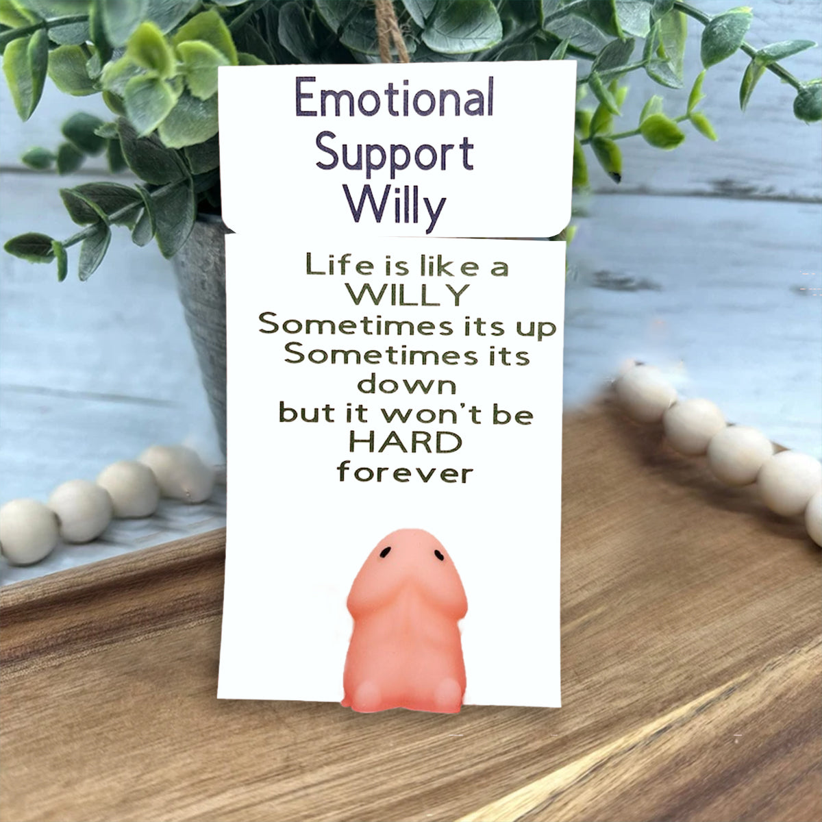 šEmotional Support Willy