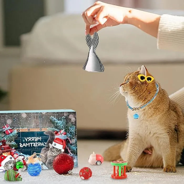 š„Last 48 hours 57% OFF - š±2024 Christmas Countdown Pet Toys Advent Calendar