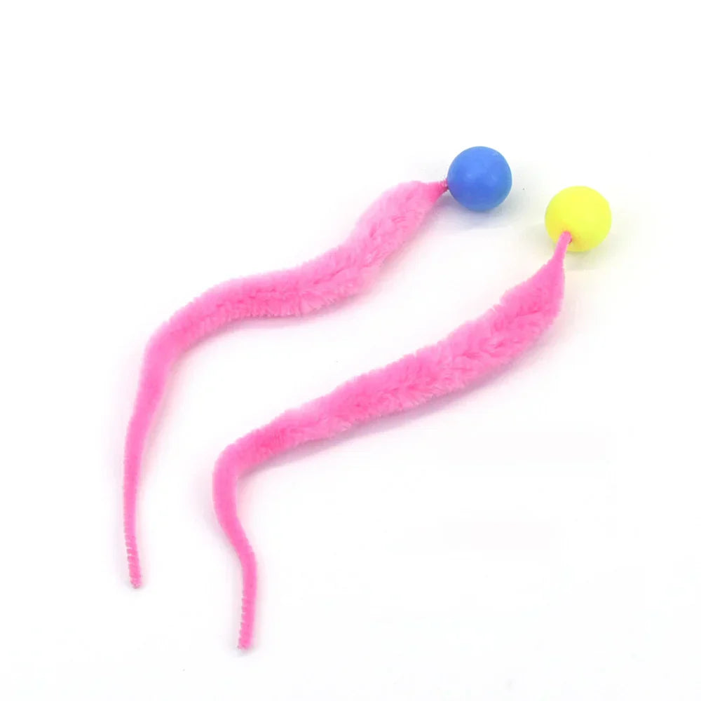 🔥Typared Jiggle Ball for Cat