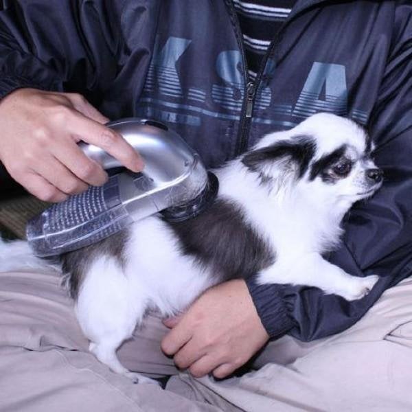 🐱Best handheld vacuum for pet hair🐾-Free Shipping