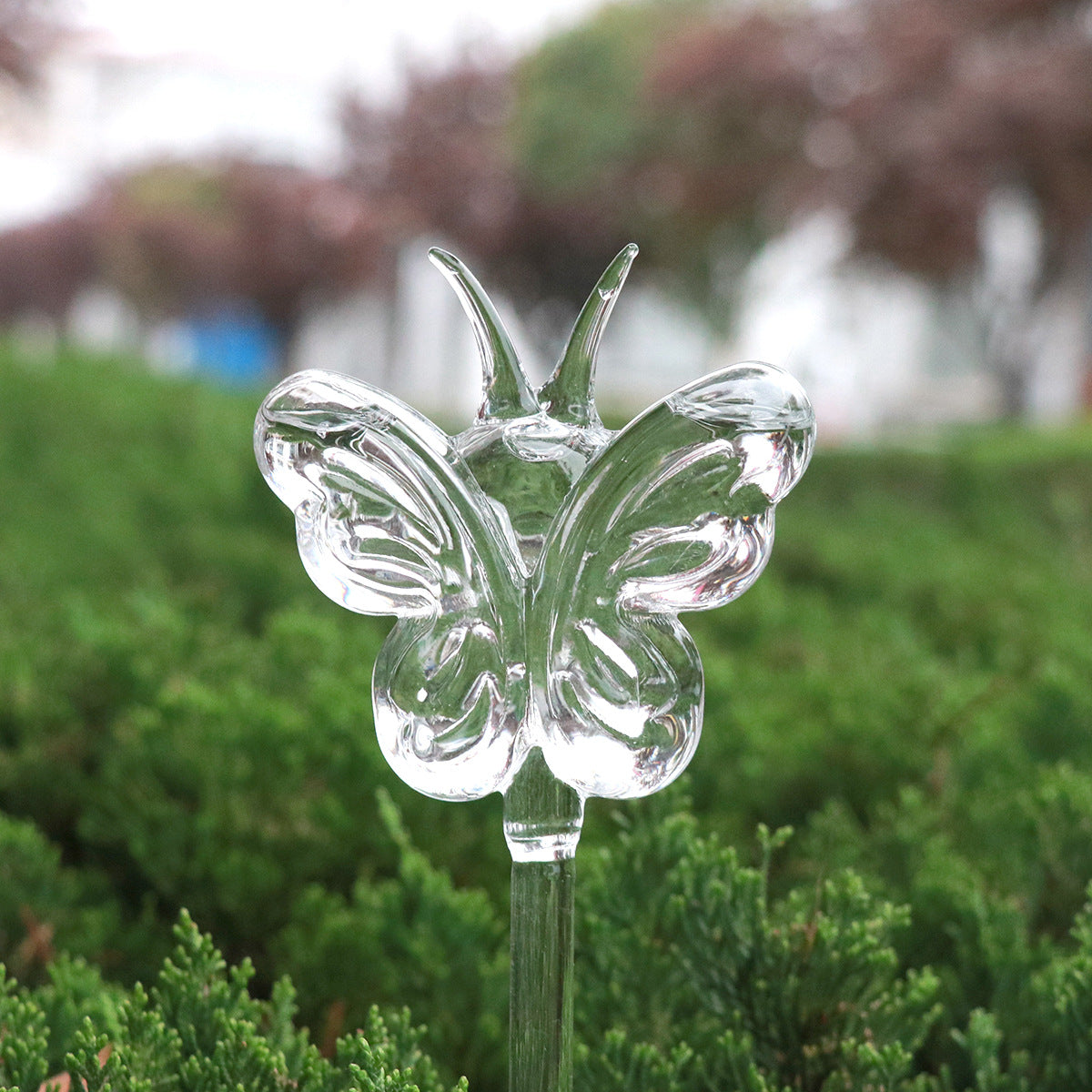 🎁2024 New Year Hot Sale🎁Self-Watering Plant Glass Bulbs