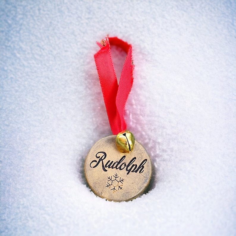 🎅Santa's Lost Button and 🦌Rudolph's lost name tag