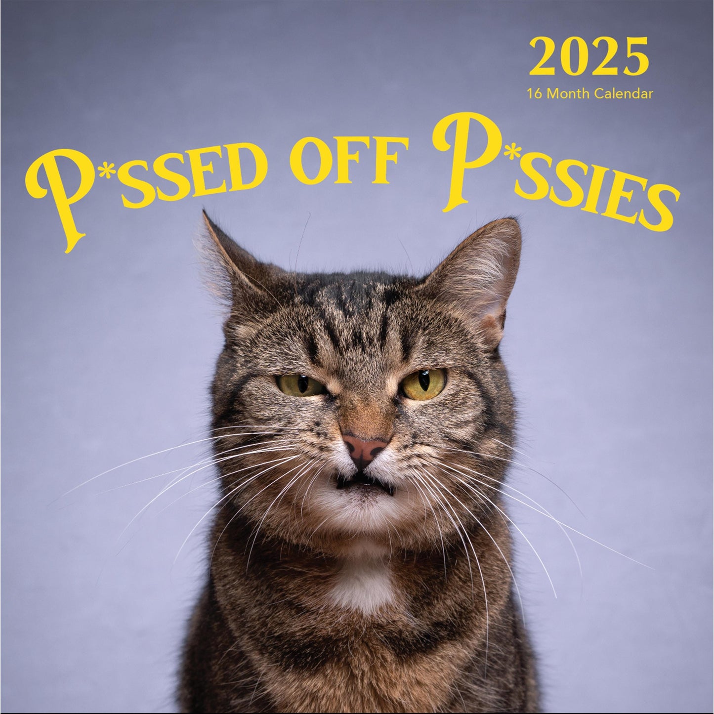 2025 P*ssed off P*ssies Angry Cats Calendar