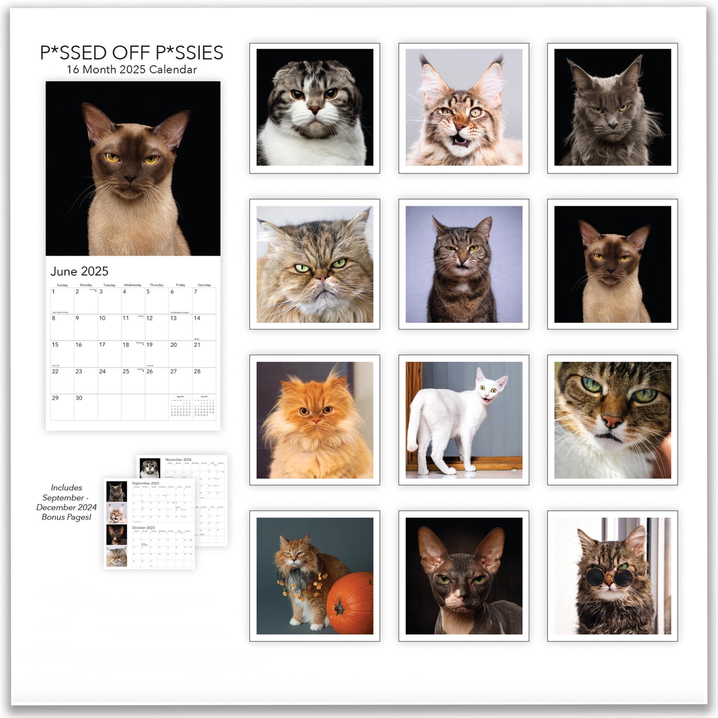 2025 P*ssed off P*ssies Angry Cats Calendar