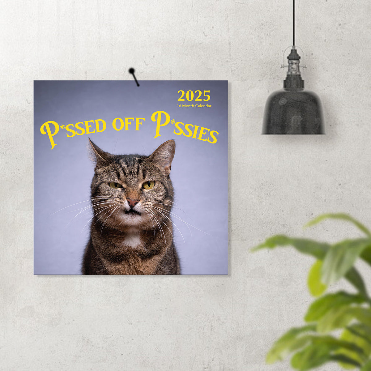 2025 P*ssed off P*ssies Angry Cats Calendar
