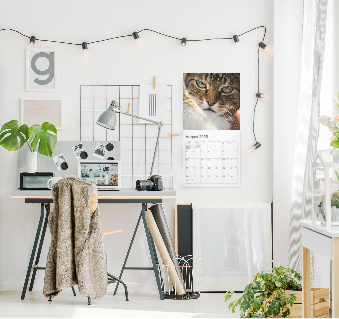 2025 P*ssed off P*ssies Angry Cats Calendar