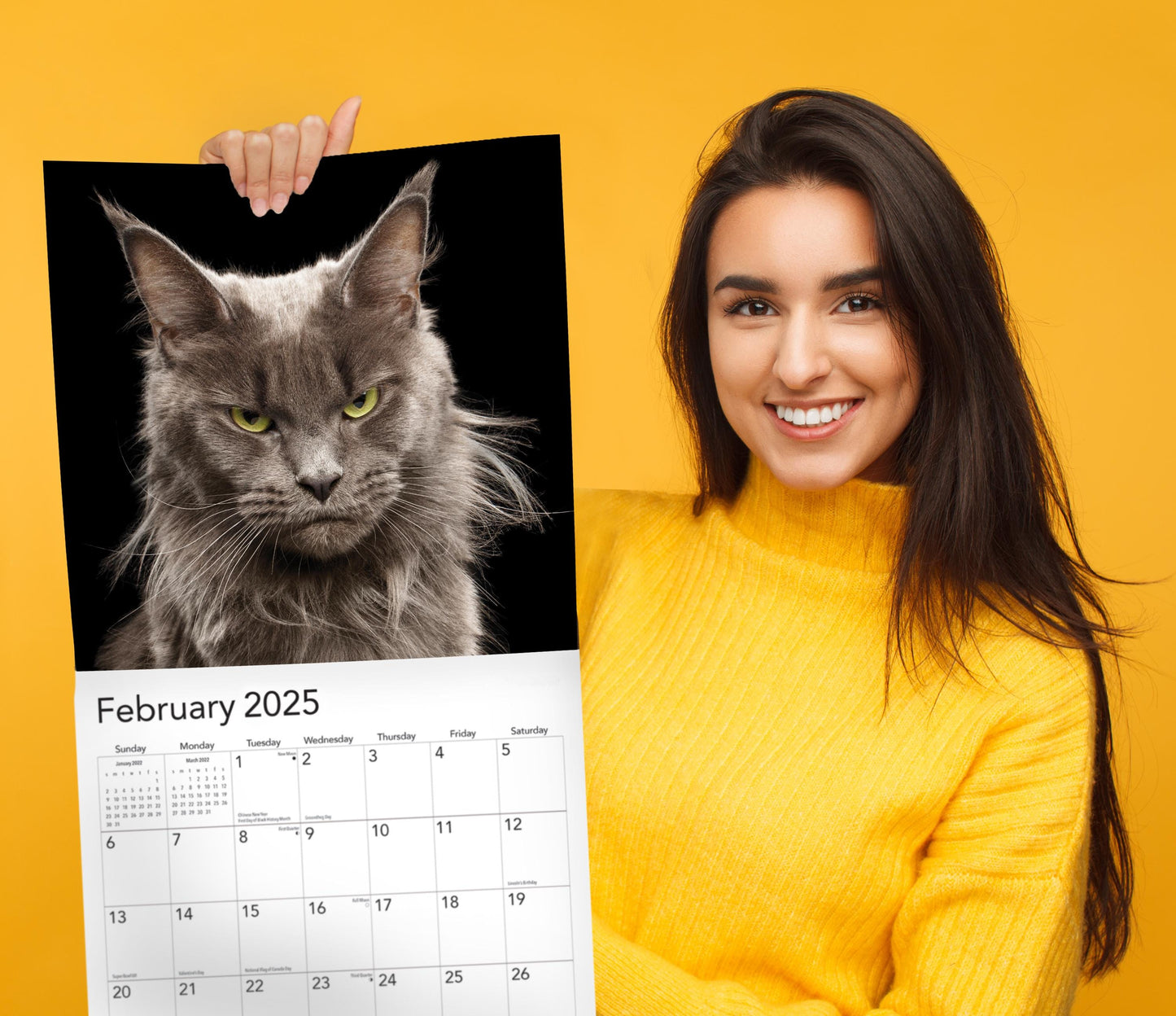2025 P*ssed off P*ssies Angry Cats Calendar