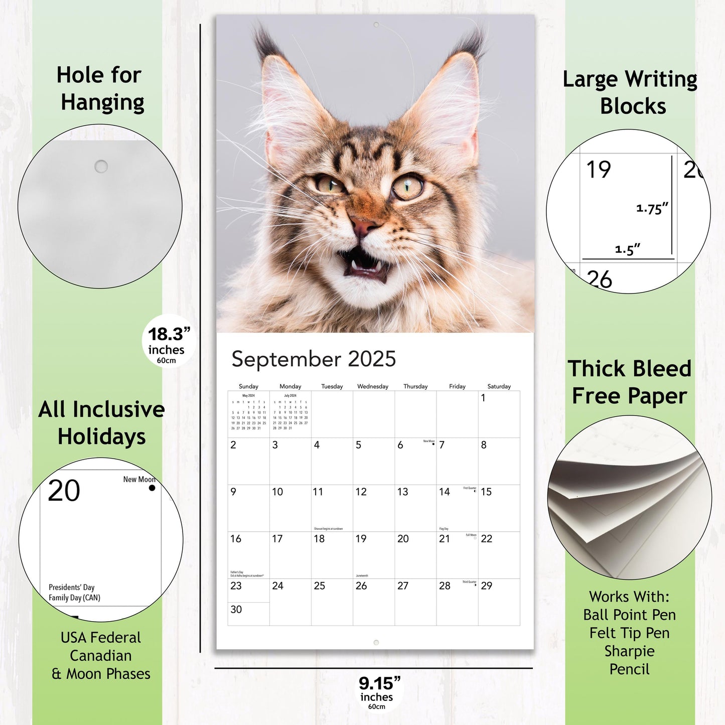 2025 P*ssed off P*ssies Angry Cats Calendar