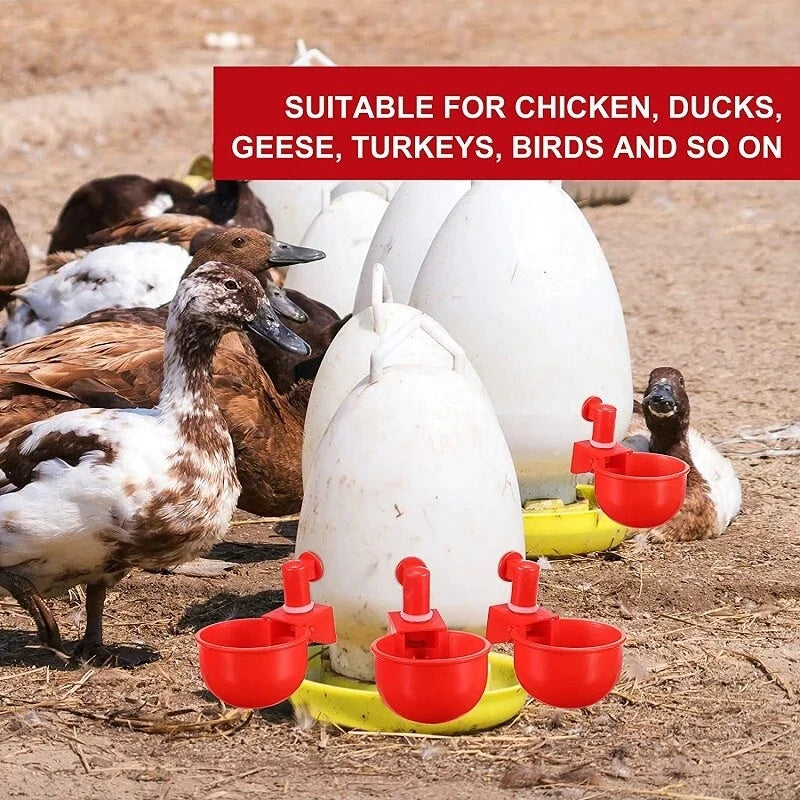 š„š„Last Day 50% OFF--š„Automatic Chicken Water Cup Bird Coop