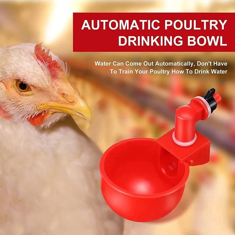 š„š„Last Day 50% OFF--š„Automatic Chicken Water Cup Bird Coop