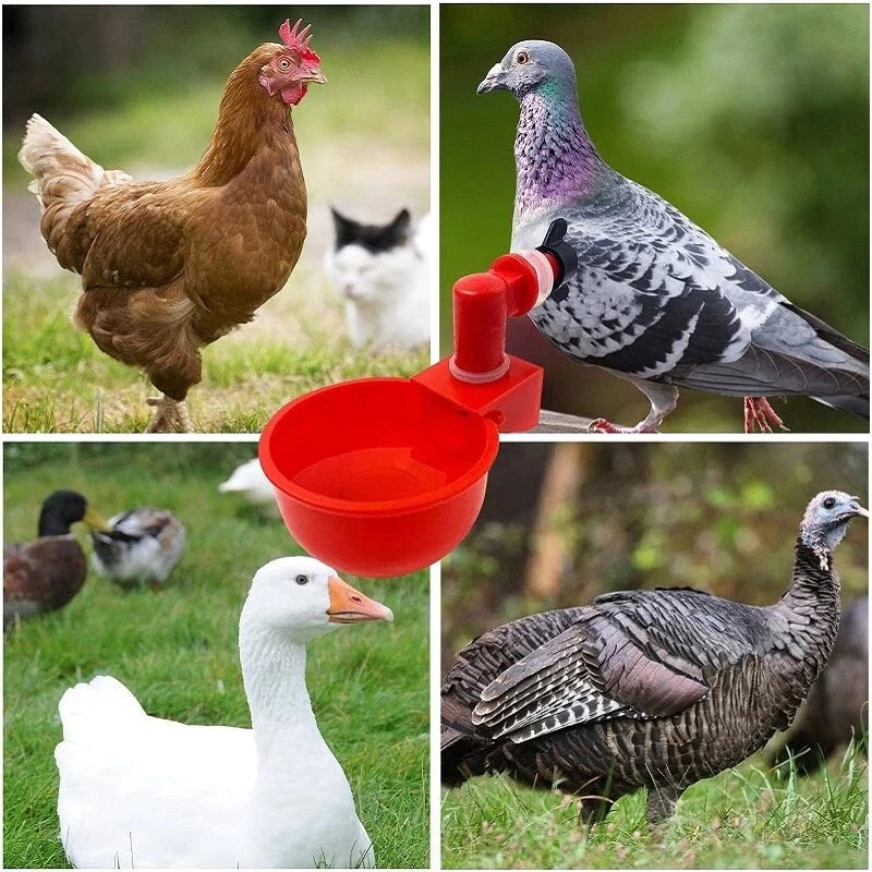 š„š„Last Day 50% OFF--š„Automatic Chicken Water Cup Bird Coop