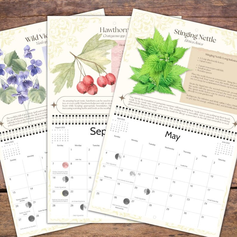 Magical Herbs Calendar 2025 🌿✨