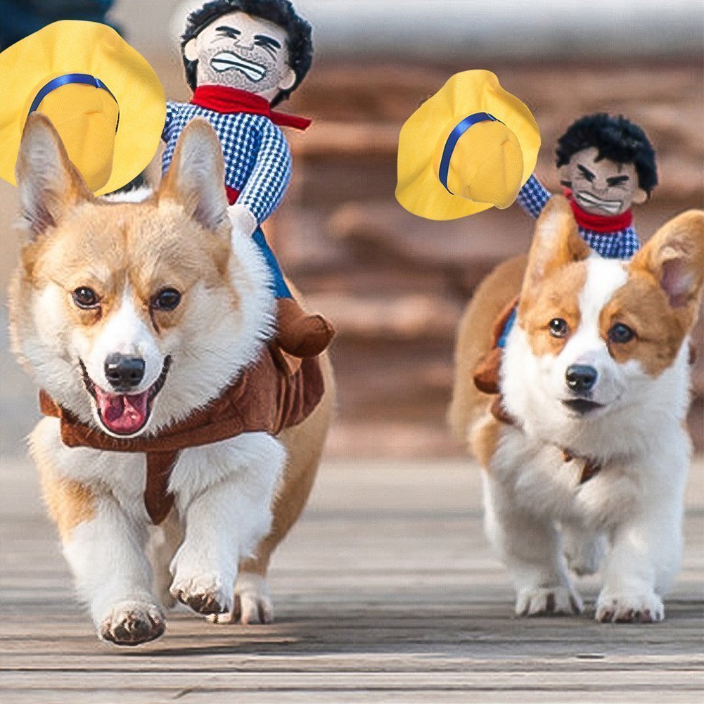 Dog Costume - Cowboy Rider
