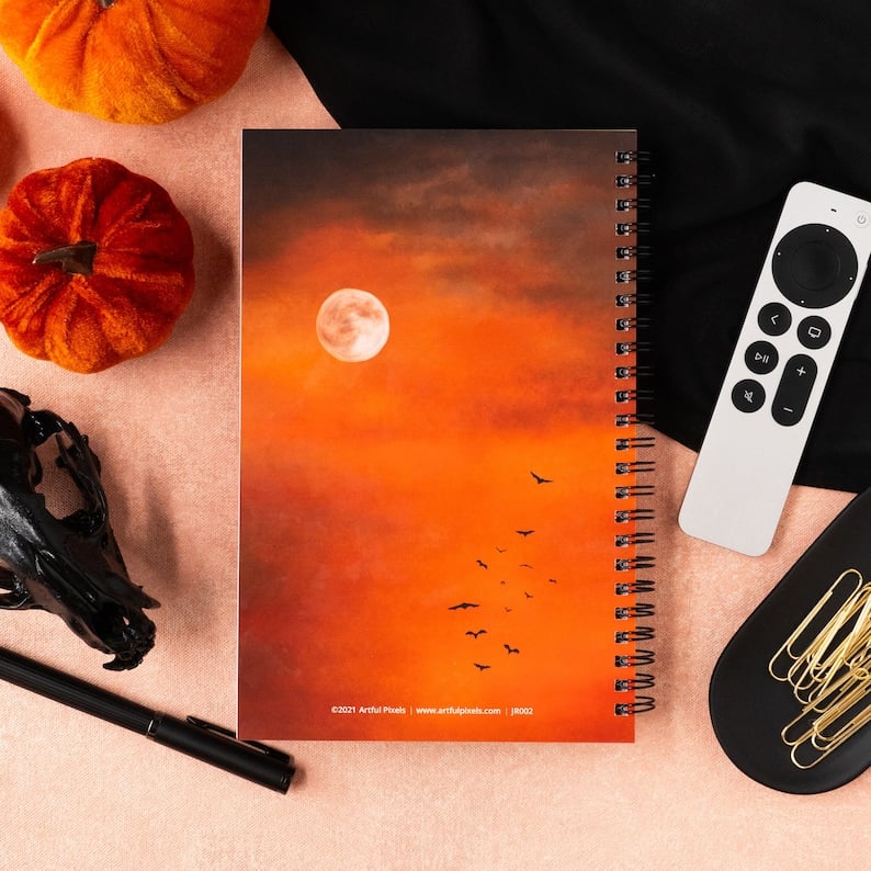 π₯2024 NEW STYLE- Horror Movie Review Journal