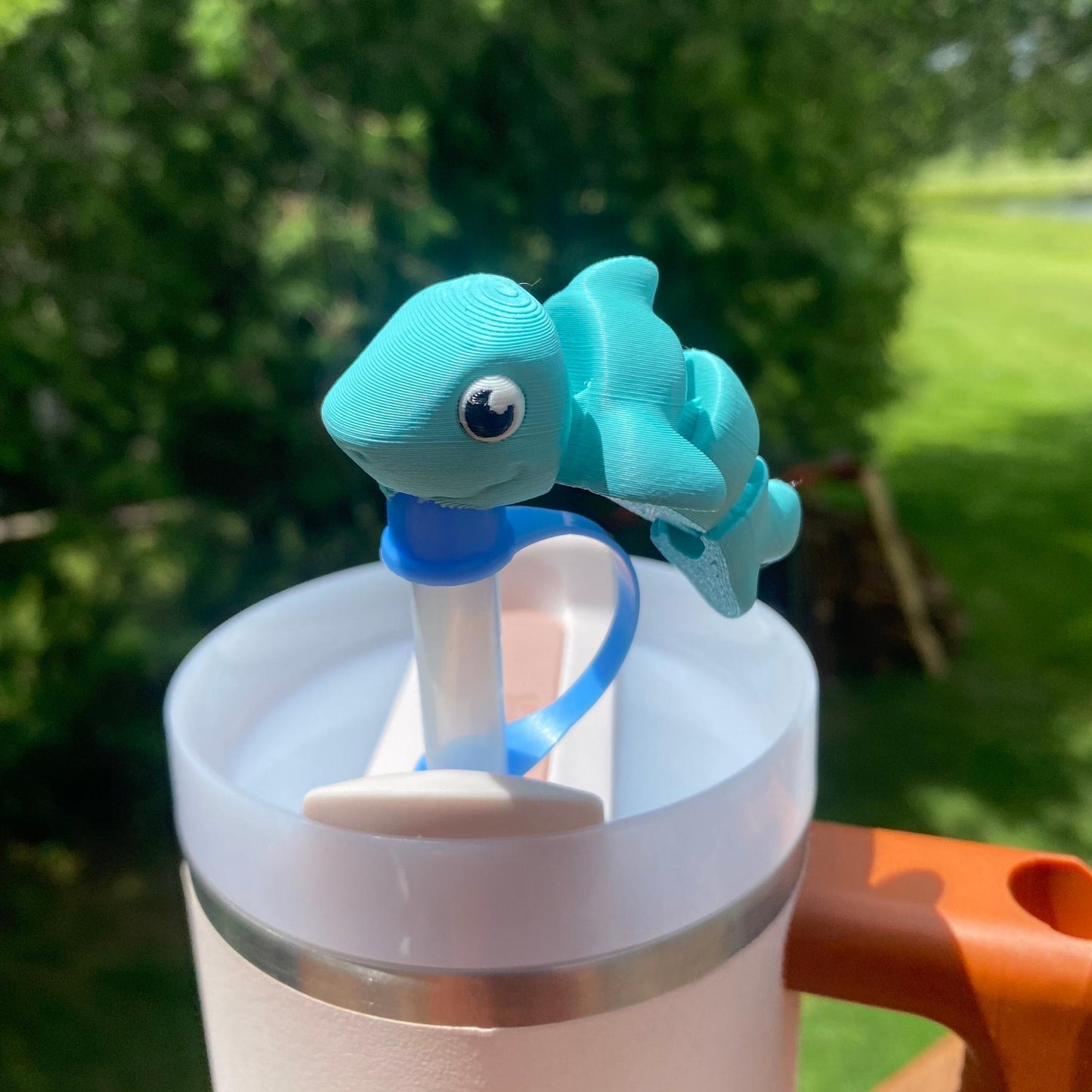 Funny Straw Cap Toppers