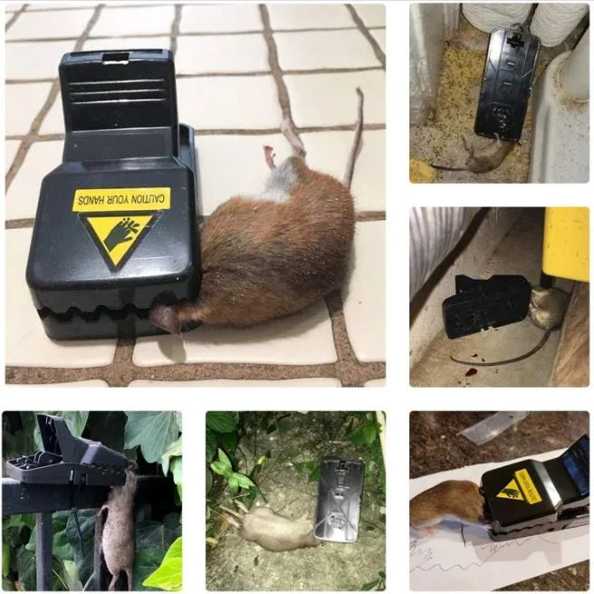 3 Pcs Highly Sensitive Reusable Mouse Trap