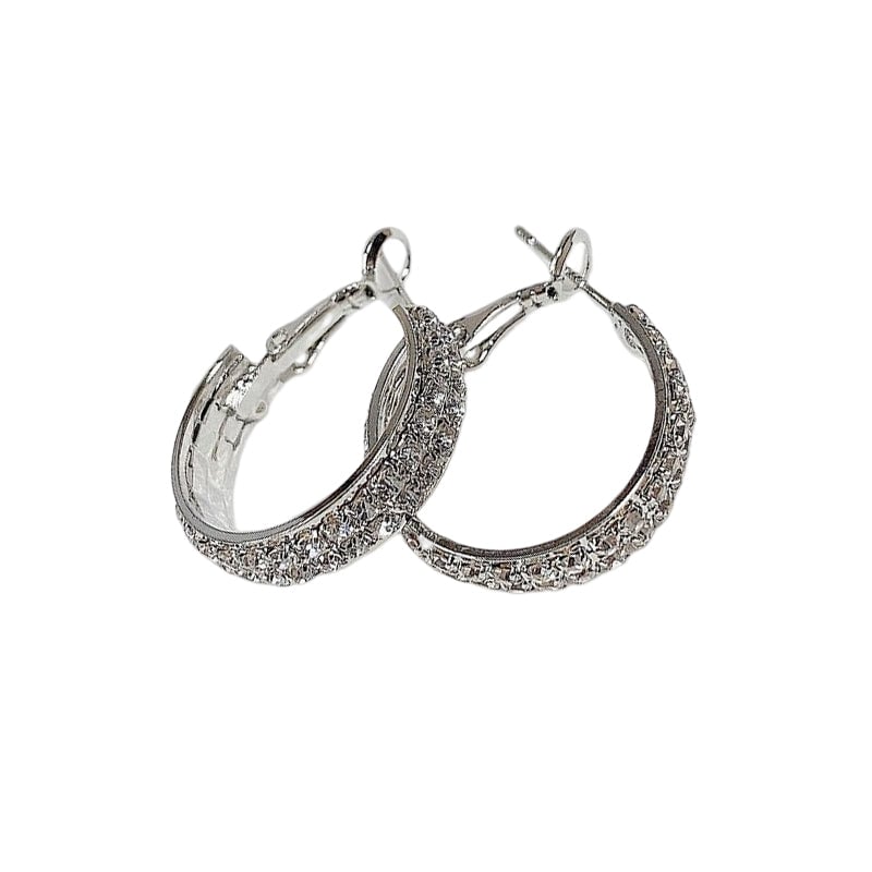 š„Sparkle Small Hoop Earrings
