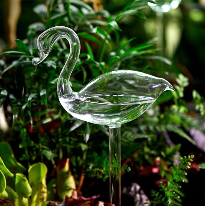 🎁2024 New Year Hot Sale🎁Self-Watering Plant Glass Bulbs